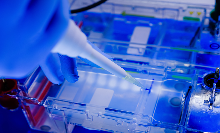 tissue_culture